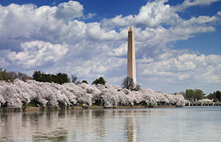 washington