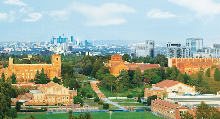 31st Workshop of the International Stroke Genomics Consortium ...