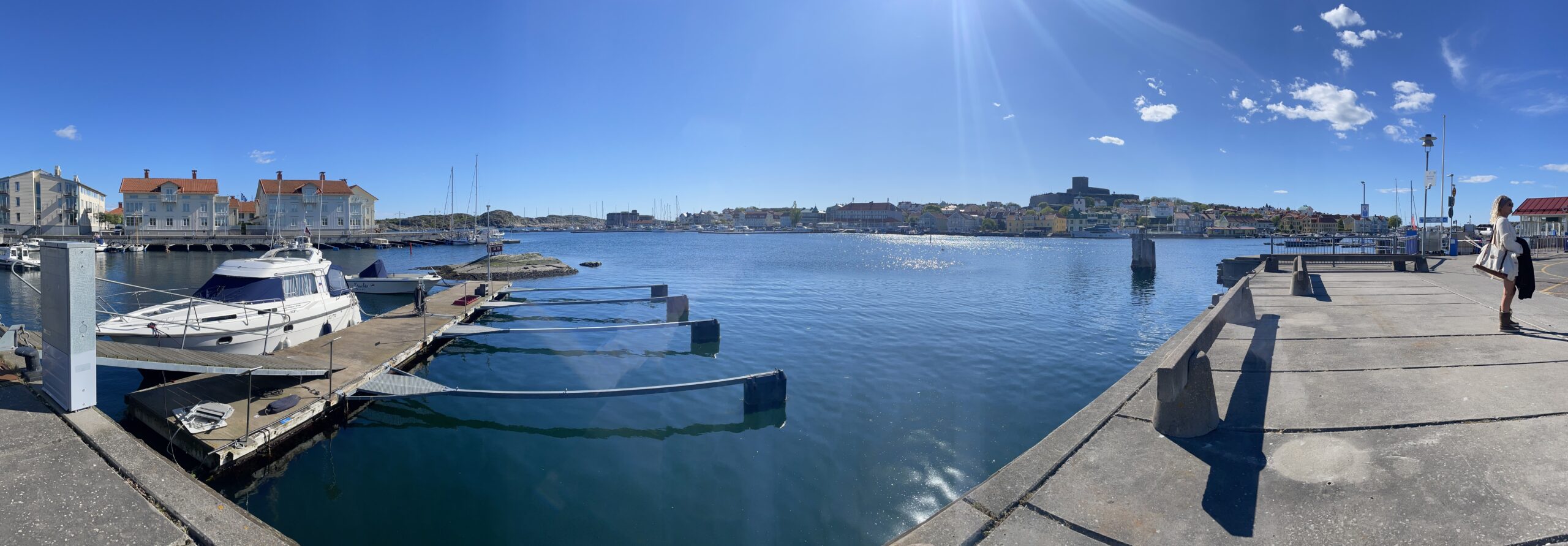 32nd Workshop of the International Stroke Genomics Consortium ...