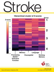 DOI: 
, Volume. , Issue. ,