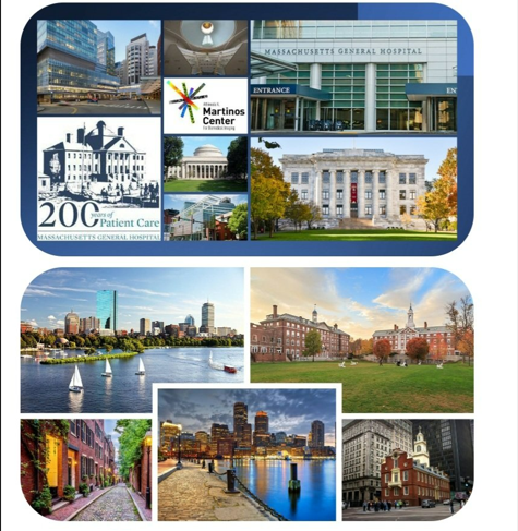 29th Workshop of the International Stroke Genetics Consortium ...