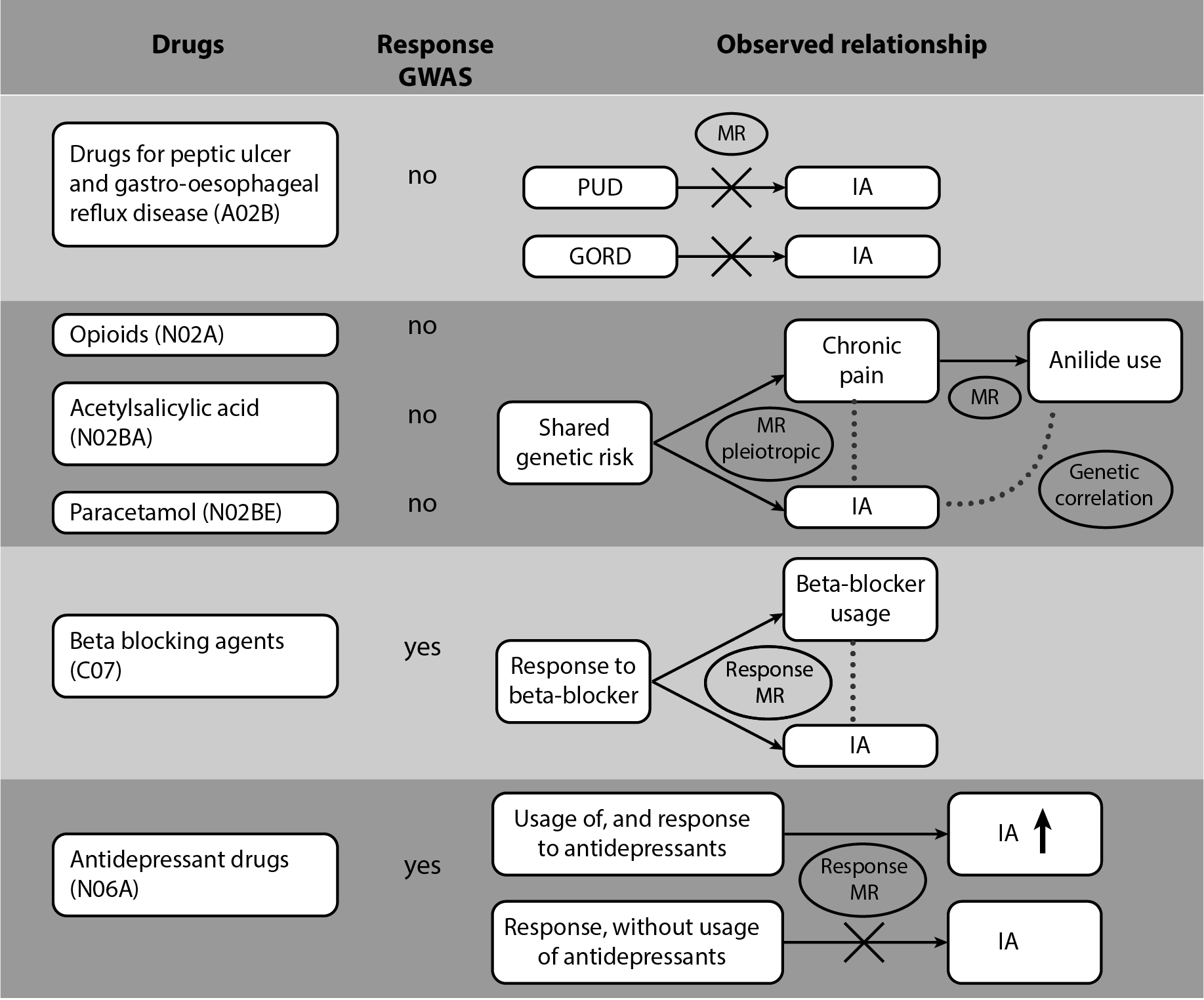 Aneurysmal subarachnoid hemorrhage risk and drug class usage: genetic ...